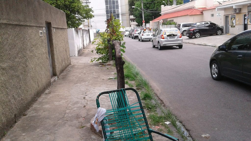 Só na Rua Gomes Coutinho, na Tamarineira, há dois tocos de árvores que sucumbiram à falta de cuidado.