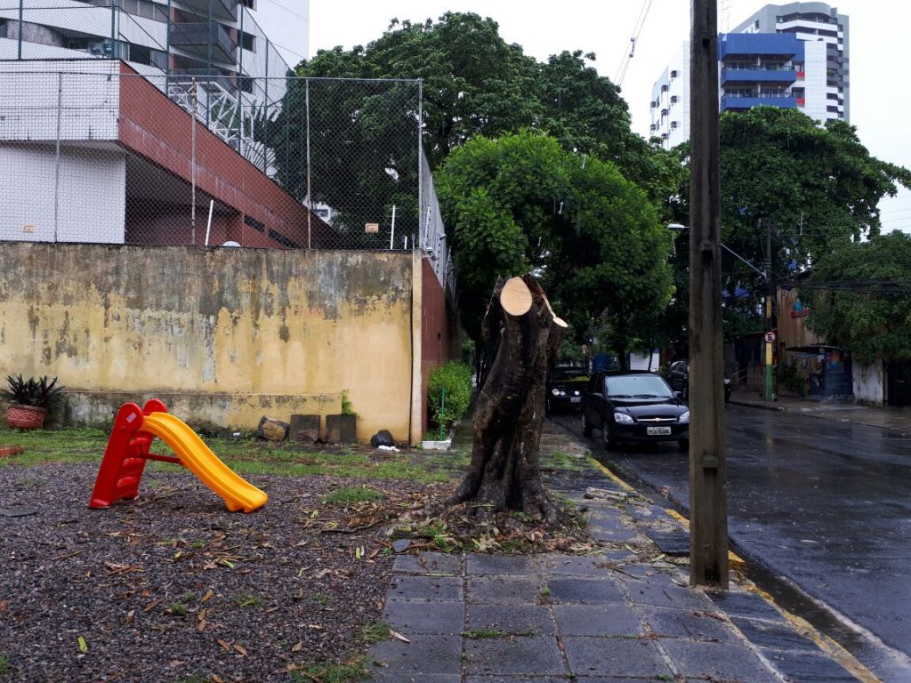 Autor dessa foto, Benedito diz que árvores mutiladas são a regra no caminho para o trabalho.