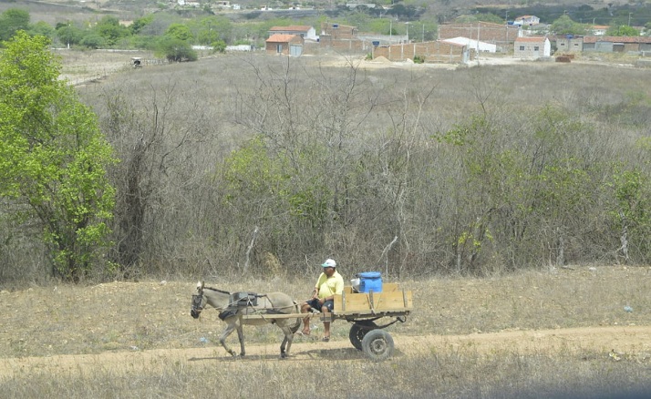 Caatinga: Bancos ofertam R$ 10 milhões para restaurar o terceiro bioma mais ameaçado no Brasil