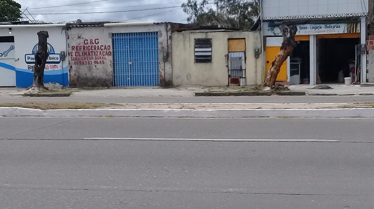  Parem de derrubar árvores (415). Queimadas, plantas precisam de reposição na Avenida Recife