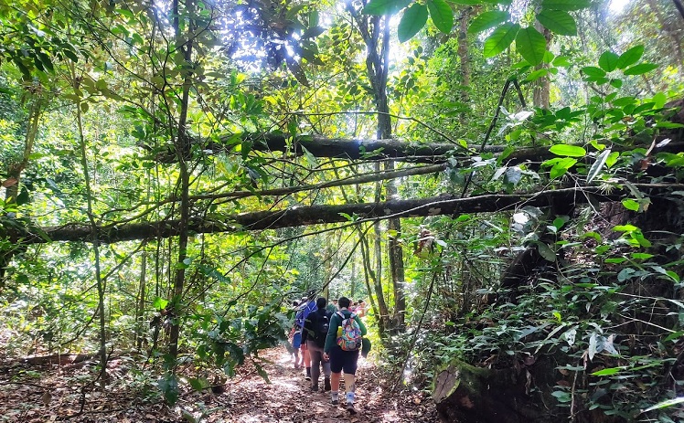 Fuja da selva de concreto da cidade e vá trilhar os caminhos da natureza em Pernambuco e Paraíba